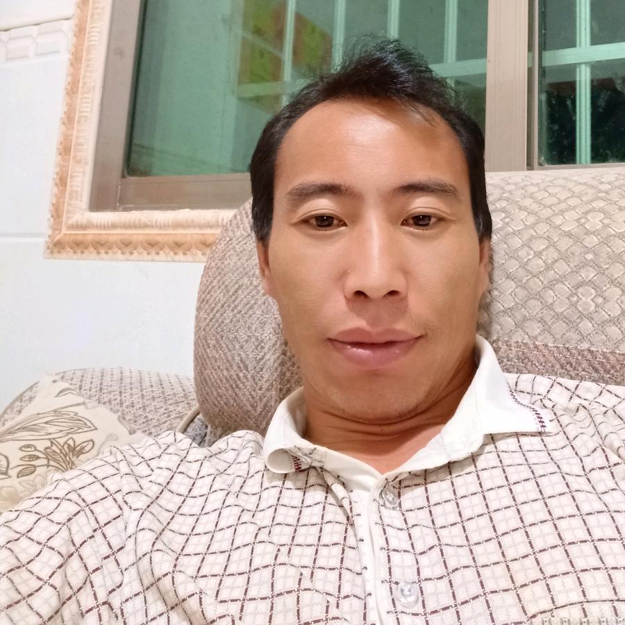 歌在飞