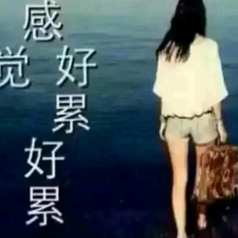 寻找真爱