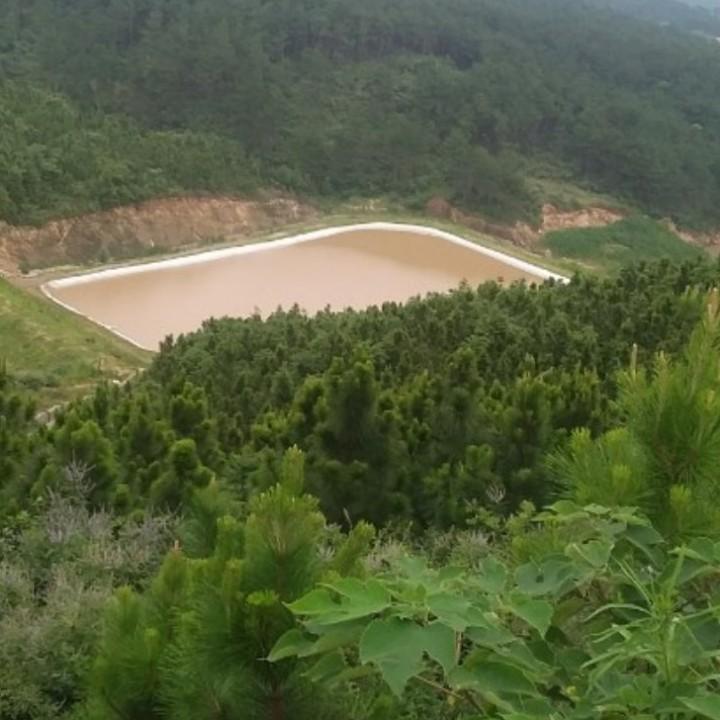 万云梅清