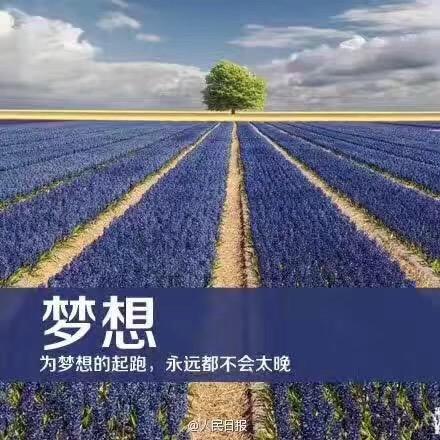 小包子、