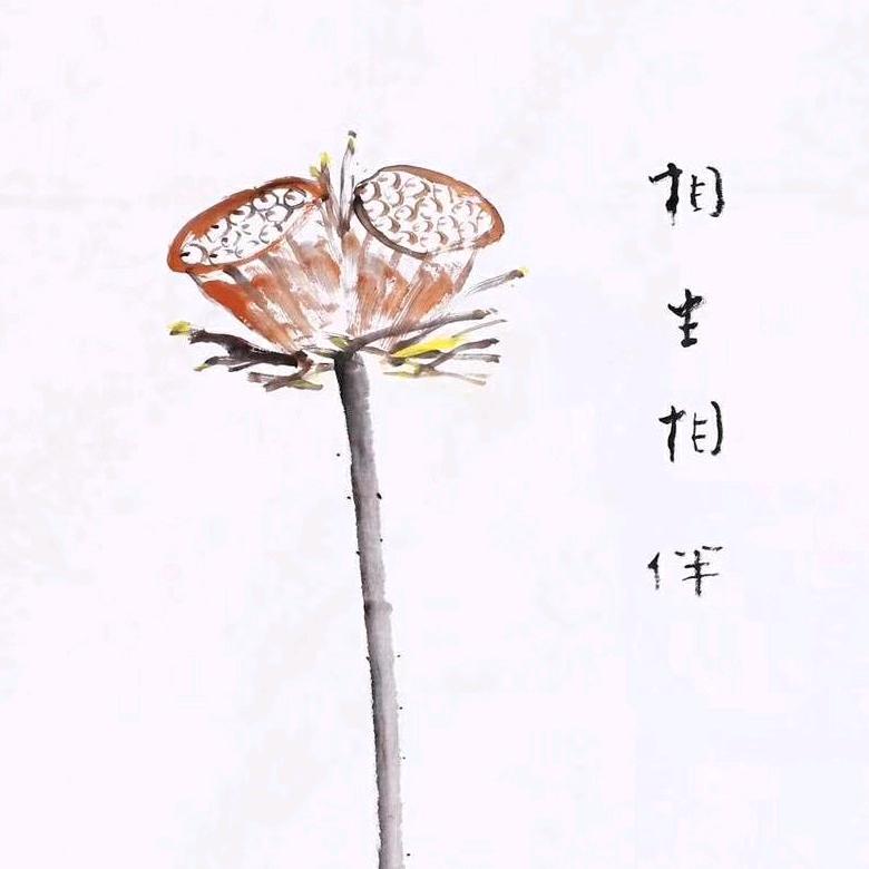 ⋆̩☂︎*̣̩矫好运🍒