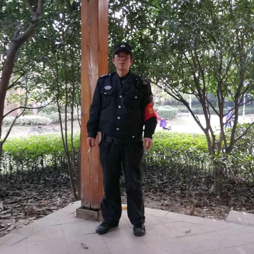 散步的兔子，华阳