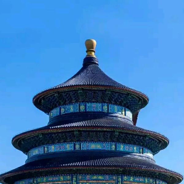 小棉羊