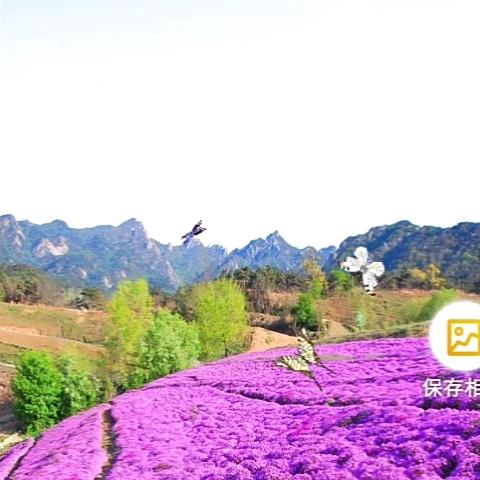 🌈*永远保全你🌈