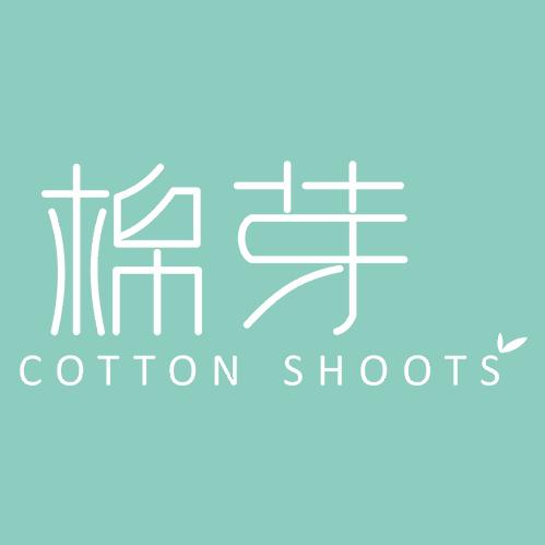 棉芽洗护直播间