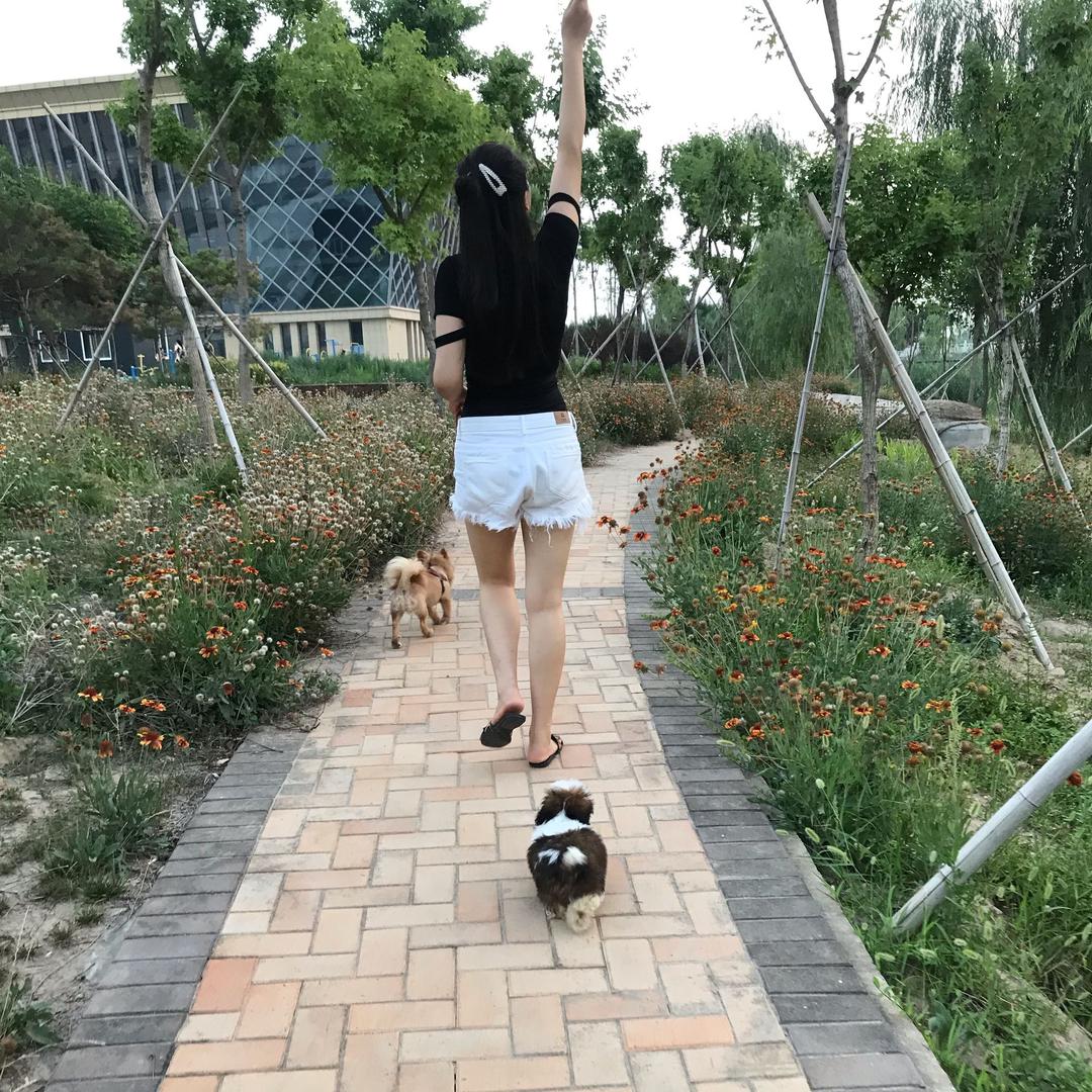 🌸俪俪🌸⭐金元宝⭐️