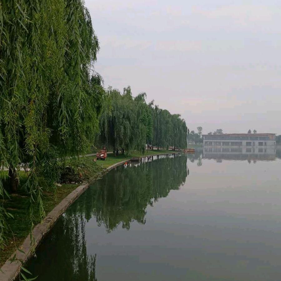 李老师