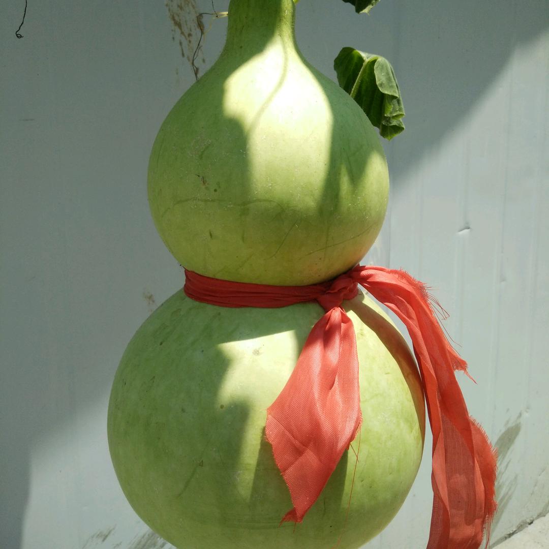 高庄户，高压洗车，涛哥