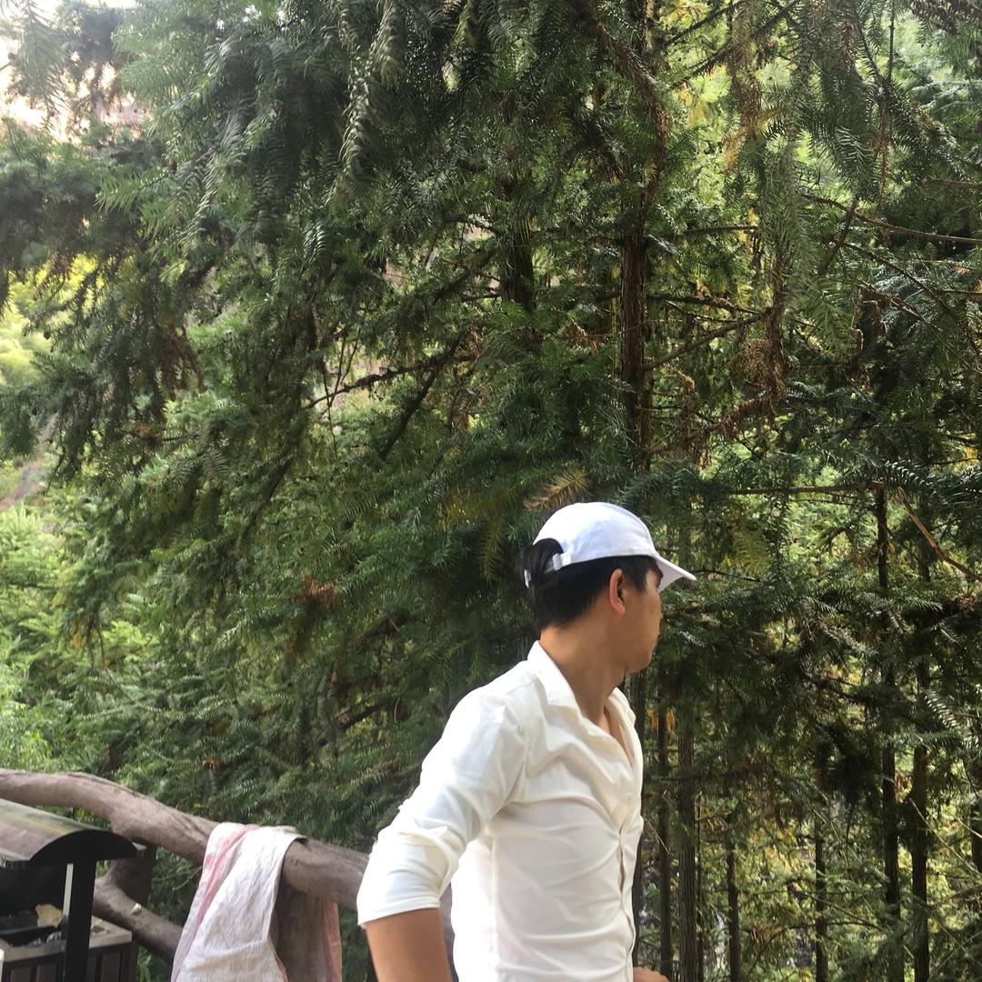 兵临天下