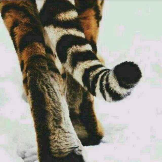 沉梦昂志