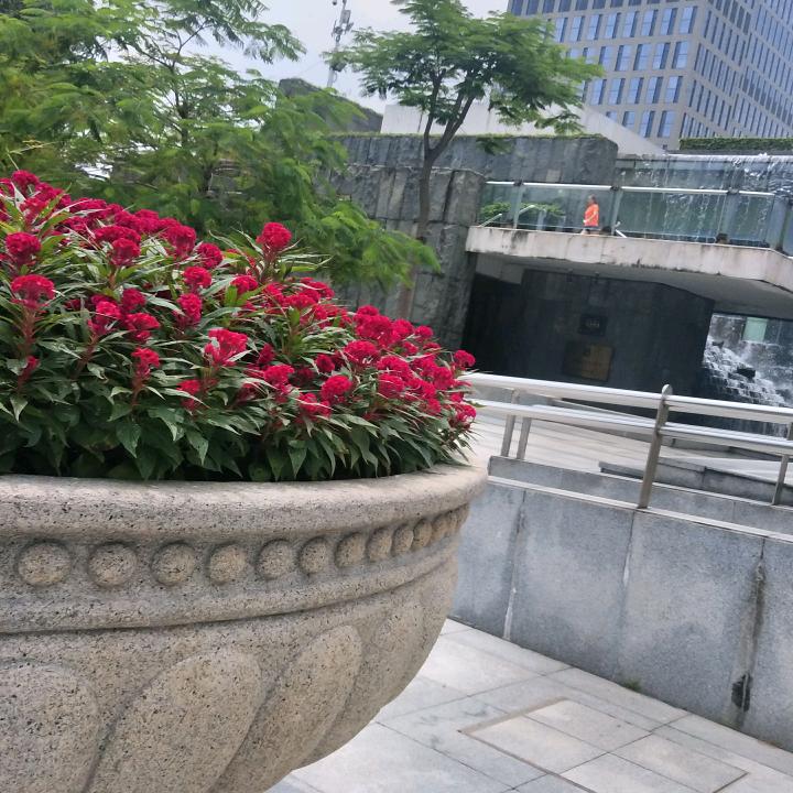 陈雪娇