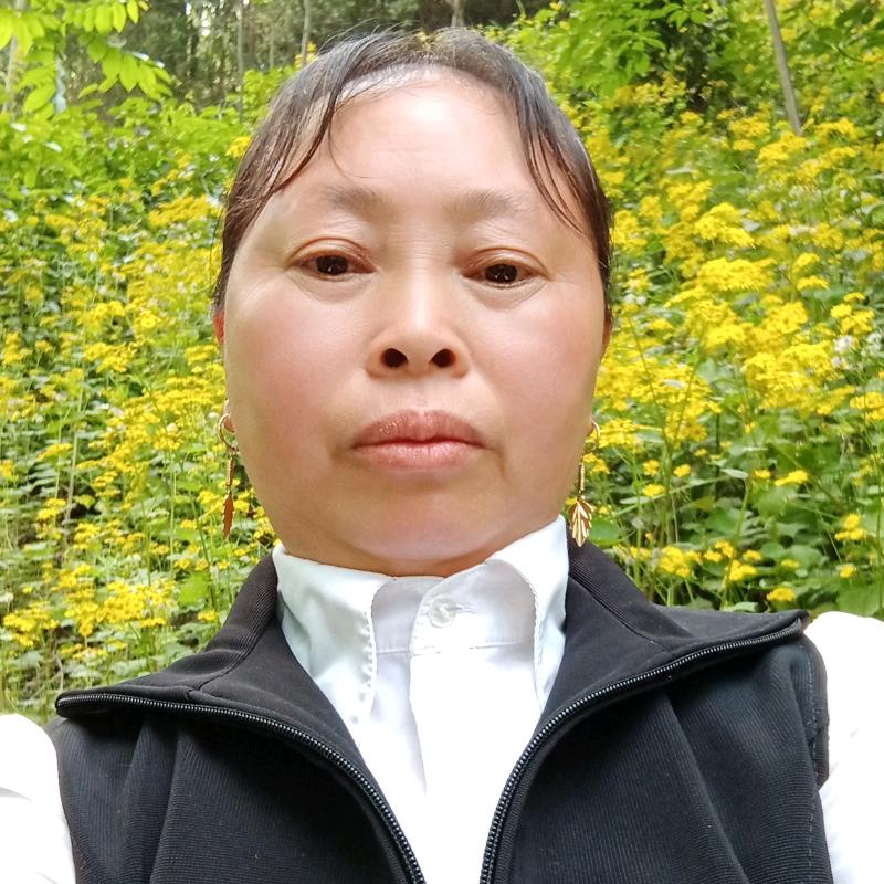 柳暗花明