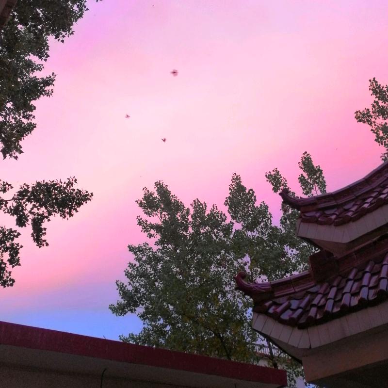 @多么@痛的@领悟