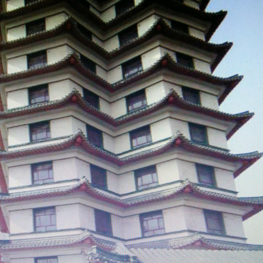 豫哥