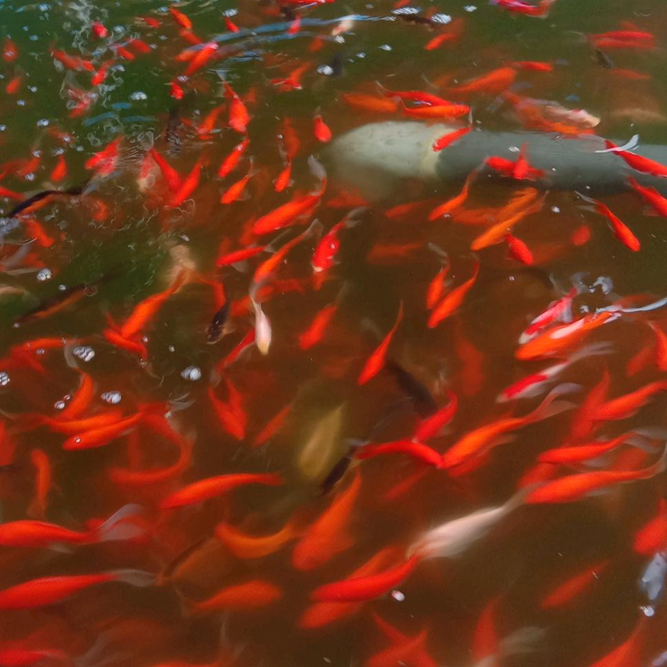 多看看现代社会