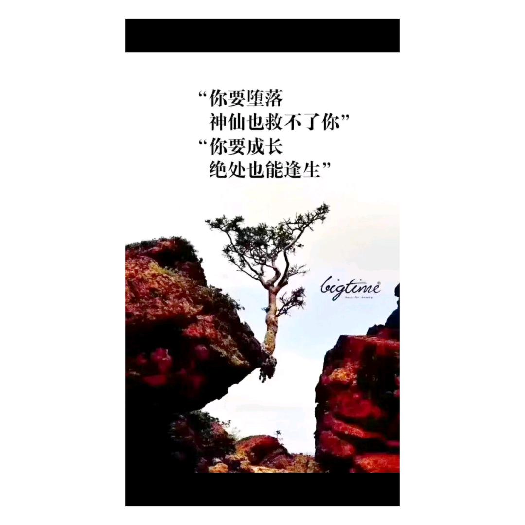 睢县东李