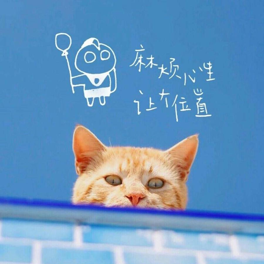 🌈喋喋*