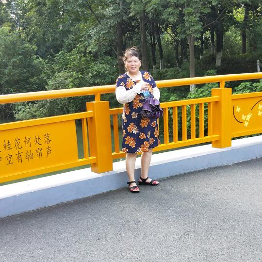 王 苹