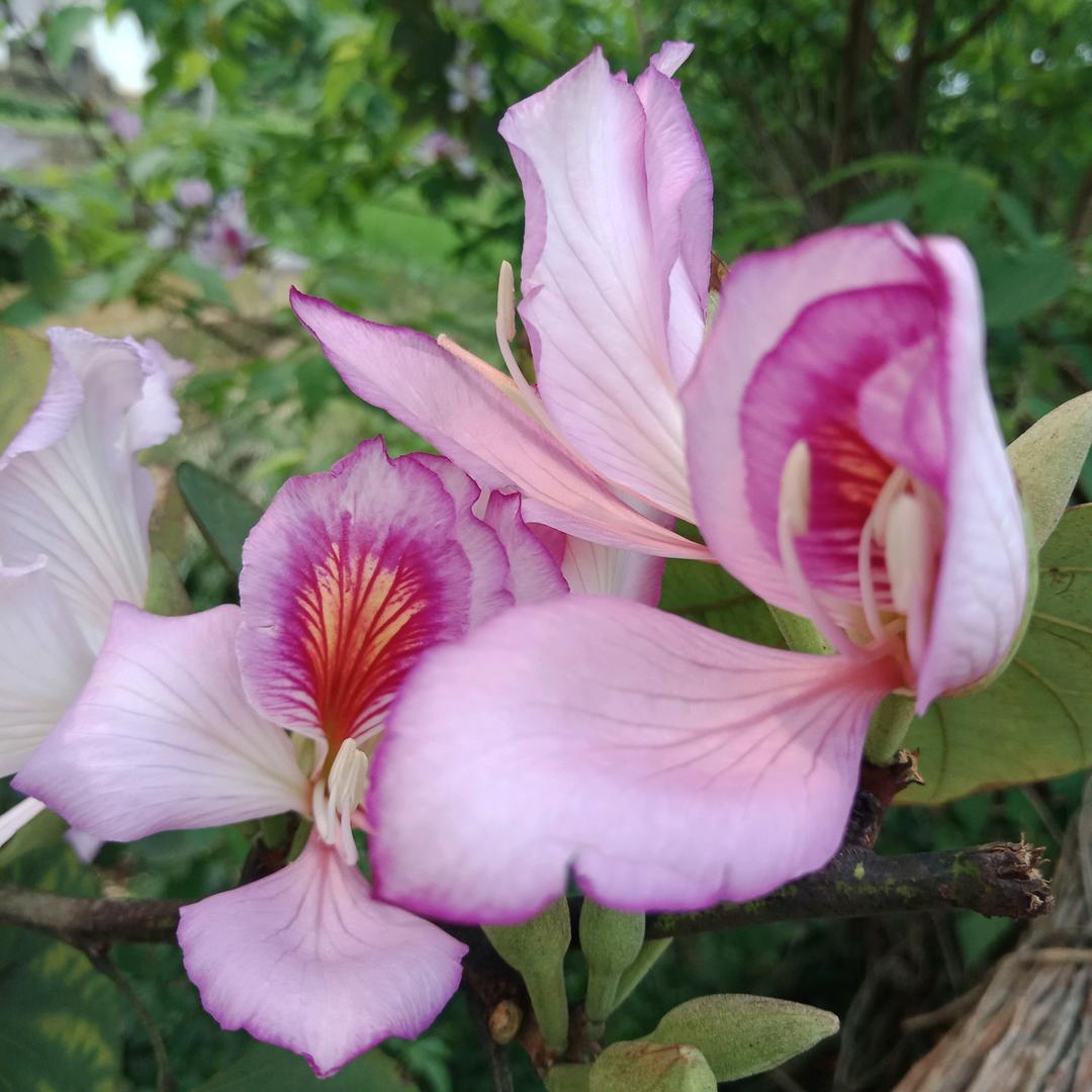 其实幸福并不远