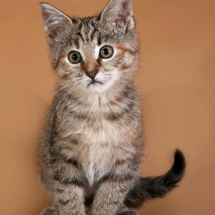 狂爱音乐的聋哑人