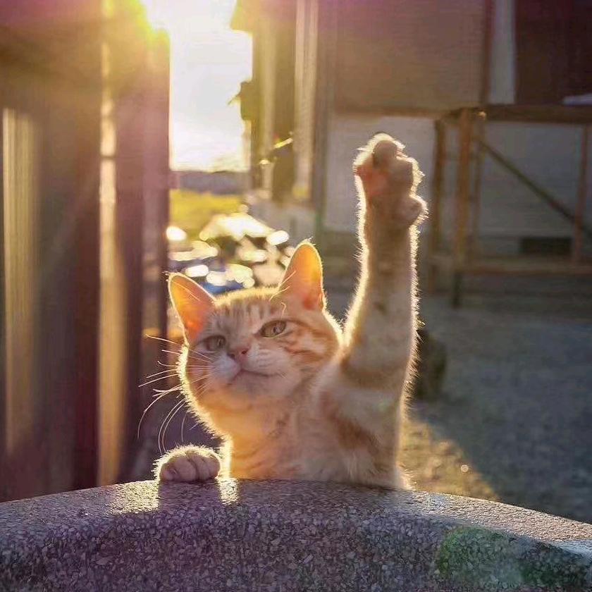 炸酱面