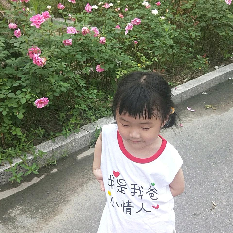 龙的传人