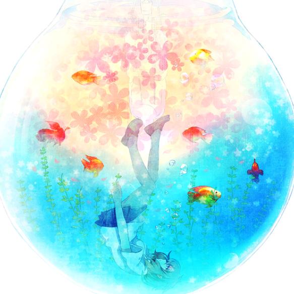 南殇  北欢