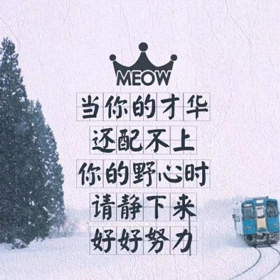 扶摇↑