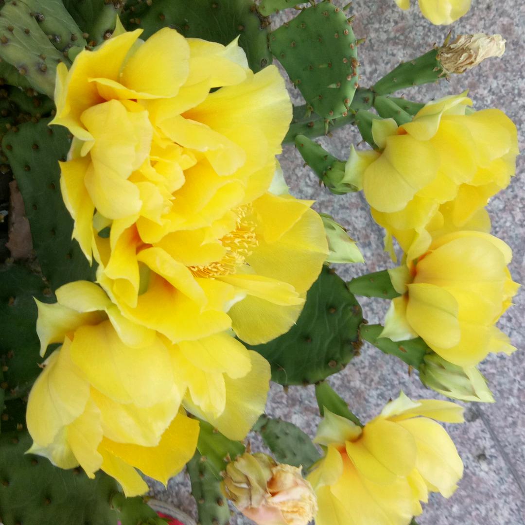 人生就像一场梦