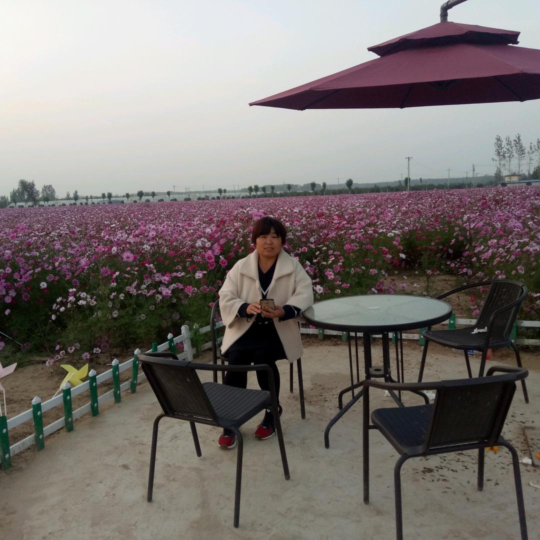 中药材种植基地