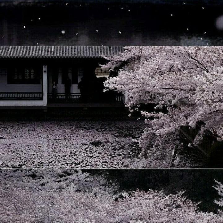 栮