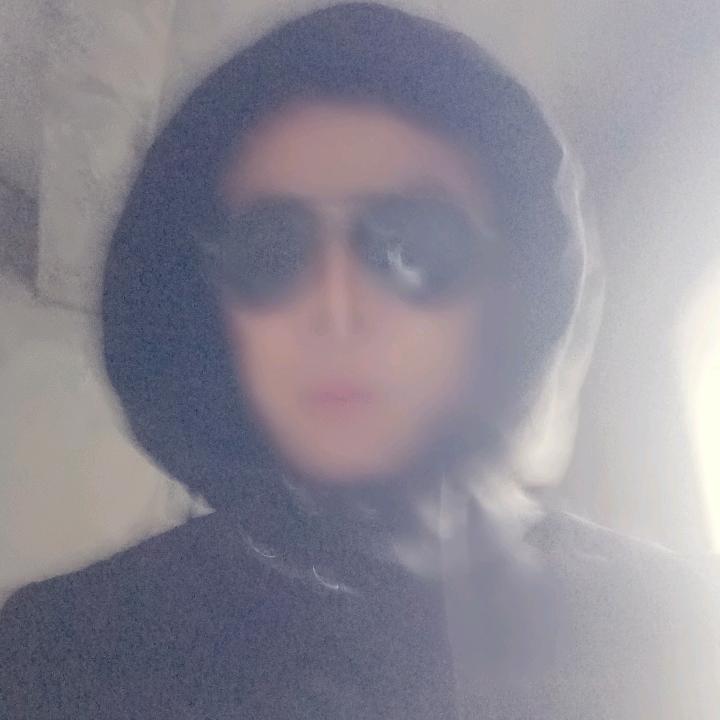 飞过沧海的太阳