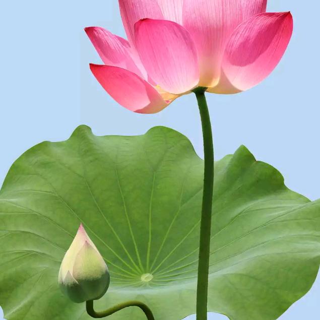 尽善尽美，幸福常刘