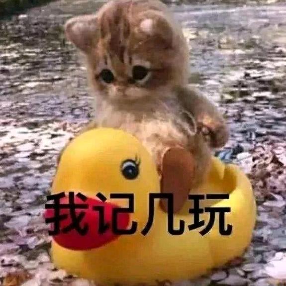 起个名字吧