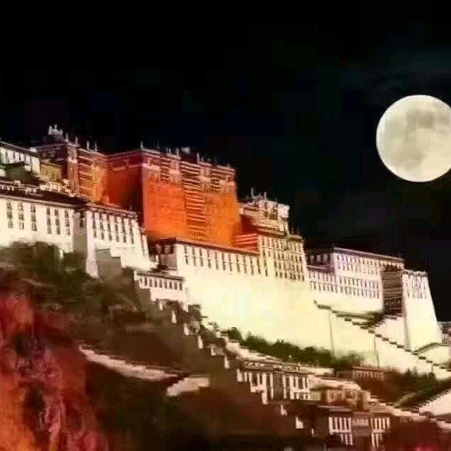 萍踪剑影