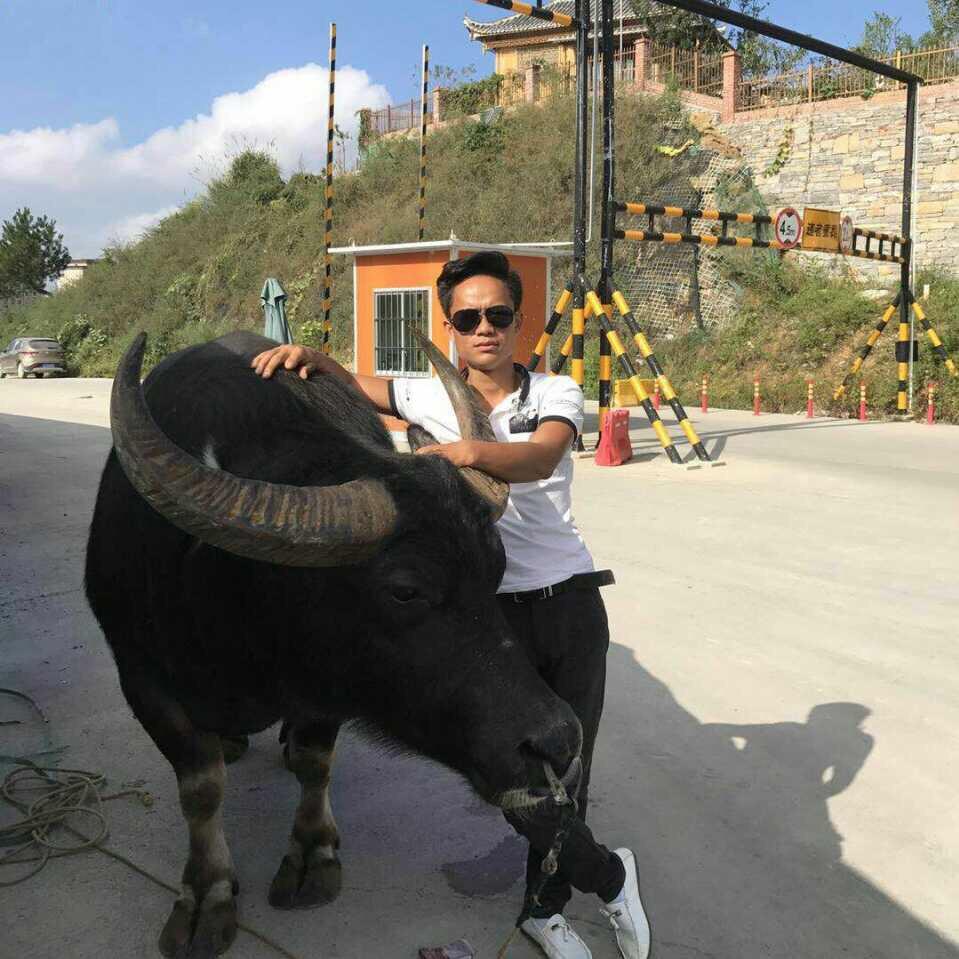 三少爷