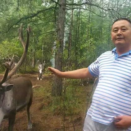 千里马'