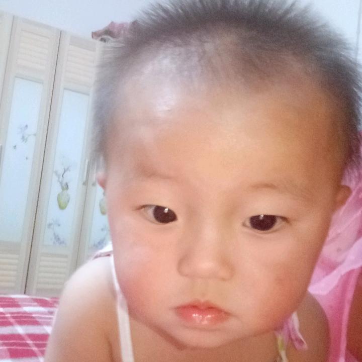 小毛驴