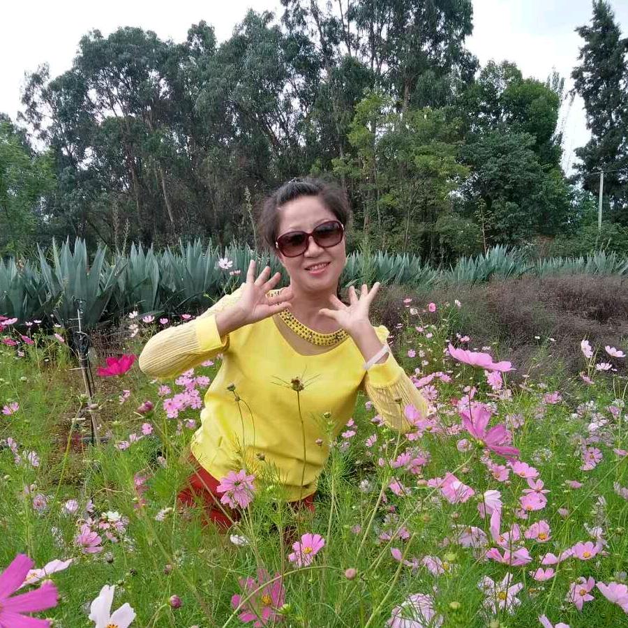 木子萍儿（手机摄影）
