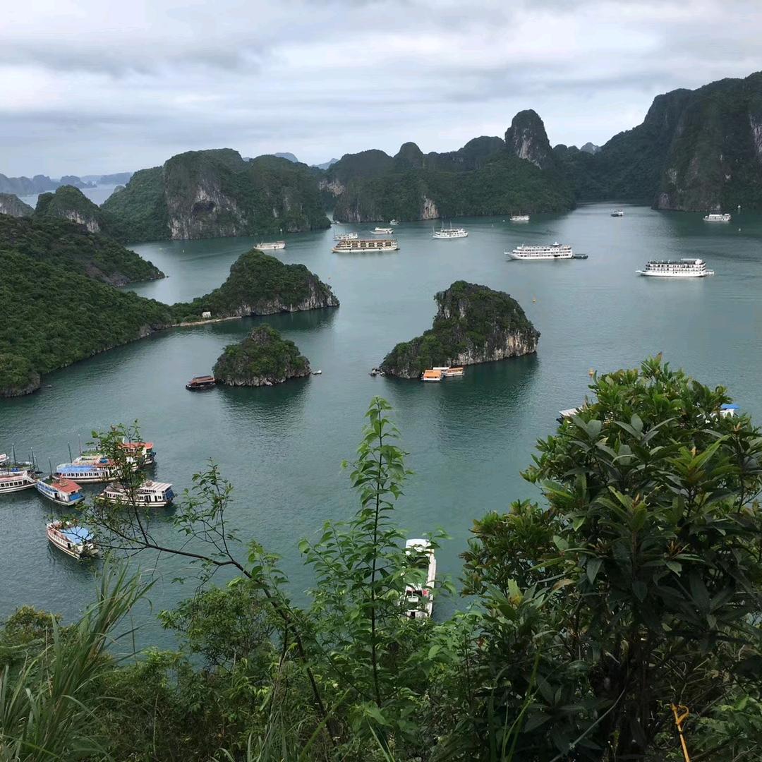 李怡红