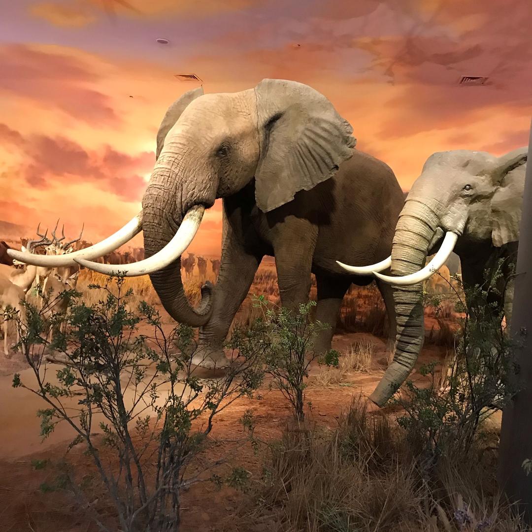 天之瑞-专业工业测量