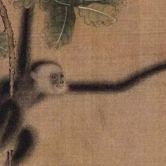 白猿通背拳—上海