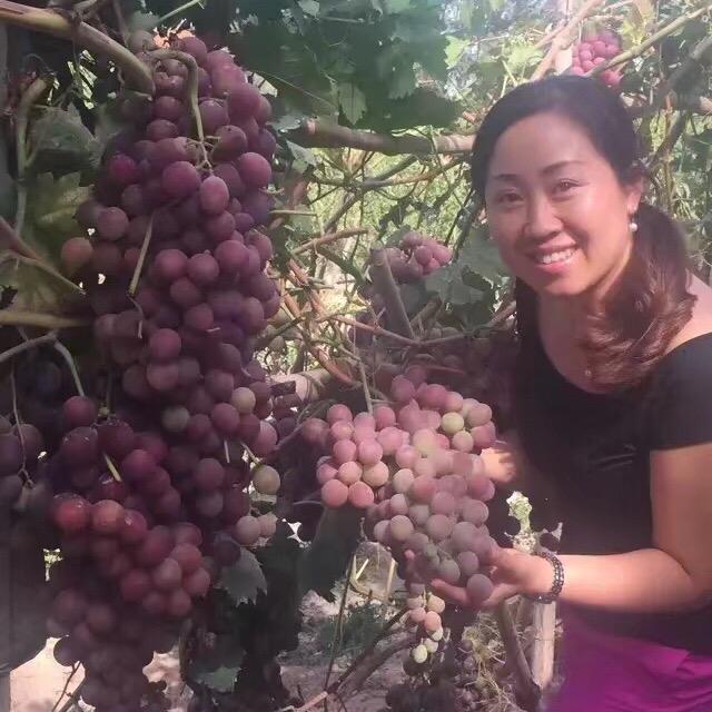 简爱