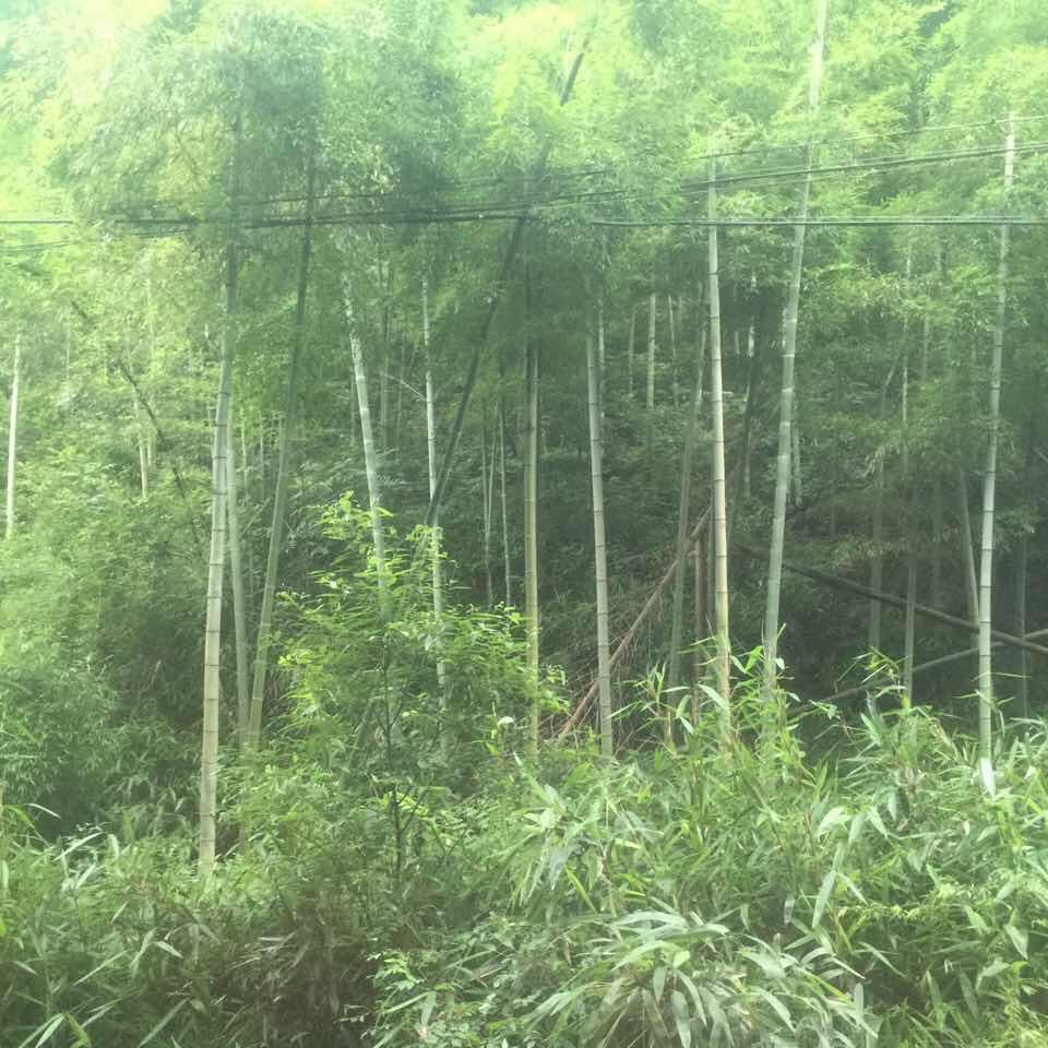 小王家具服务