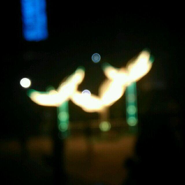 无风不起浪