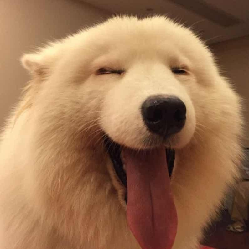 金慕儿