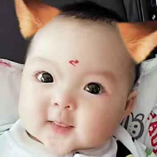 窥学书童