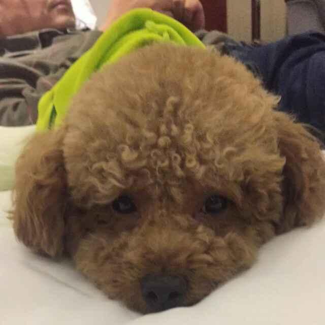 漫步☞云端
