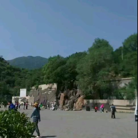 阳光明媚，赞几回几，