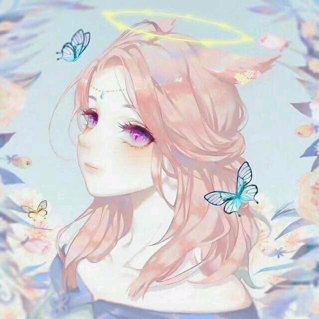 羽儿